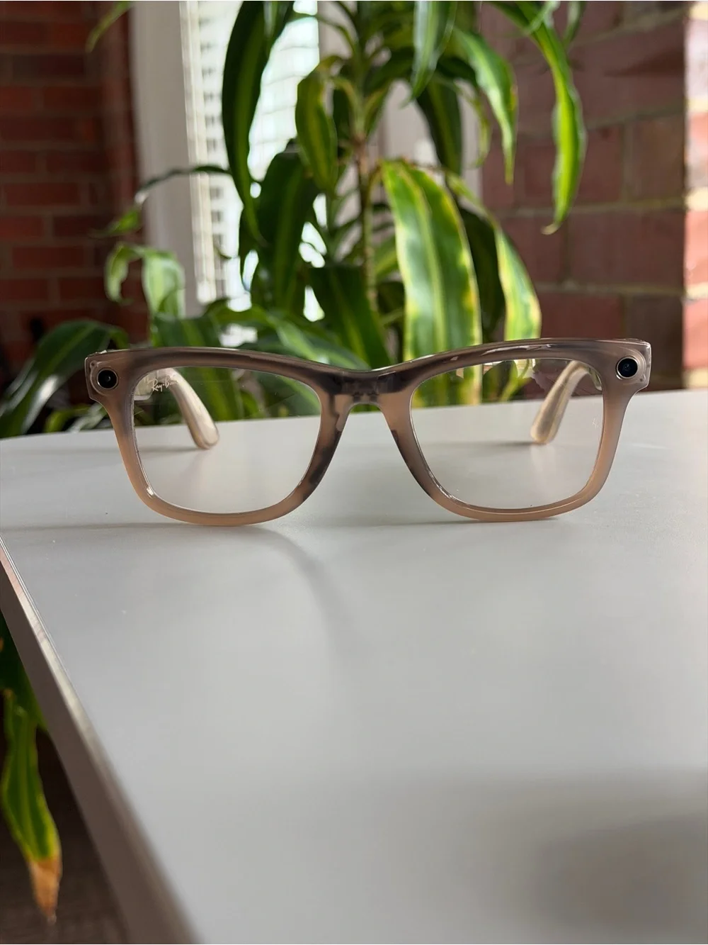 Ray-Ban about ray